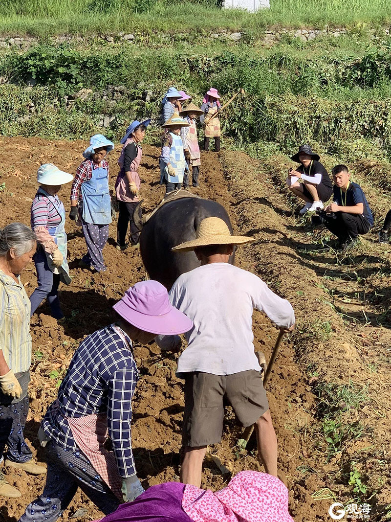 起劲加入青岛市扶贫协作运动